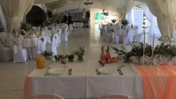 банкетный зал фламинго фото 5